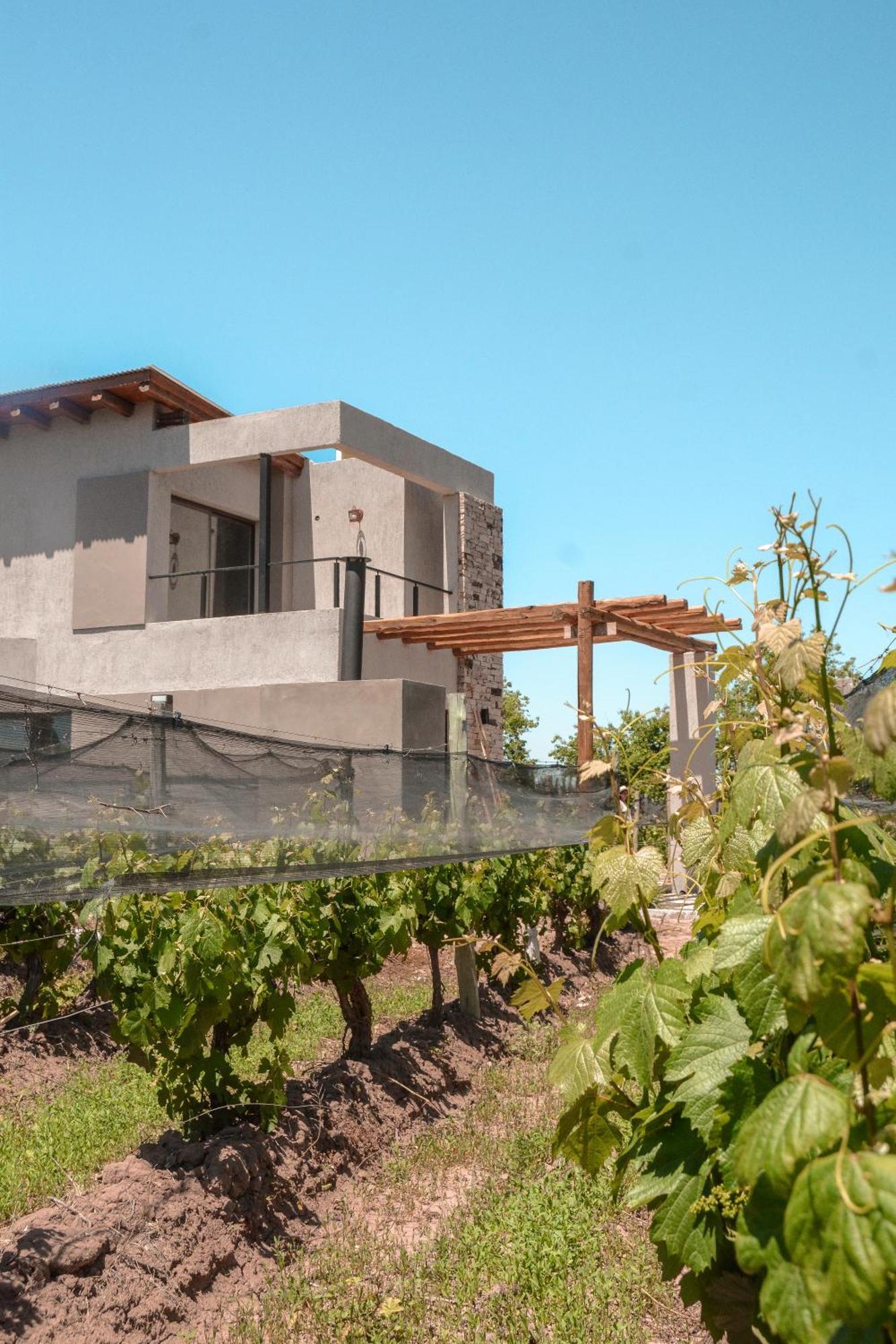 Agrelo Vines Lodge Ngoại thất bức ảnh