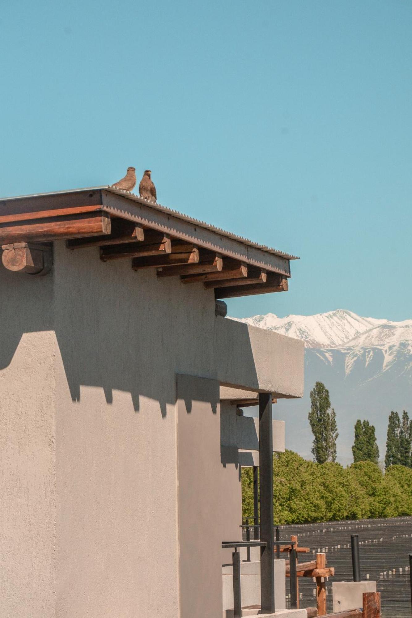 Agrelo Vines Lodge Ngoại thất bức ảnh